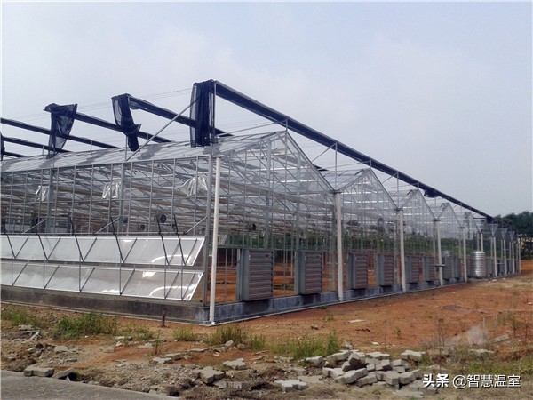 专业的玻璃温室大棚建造,温室大棚生产及设计