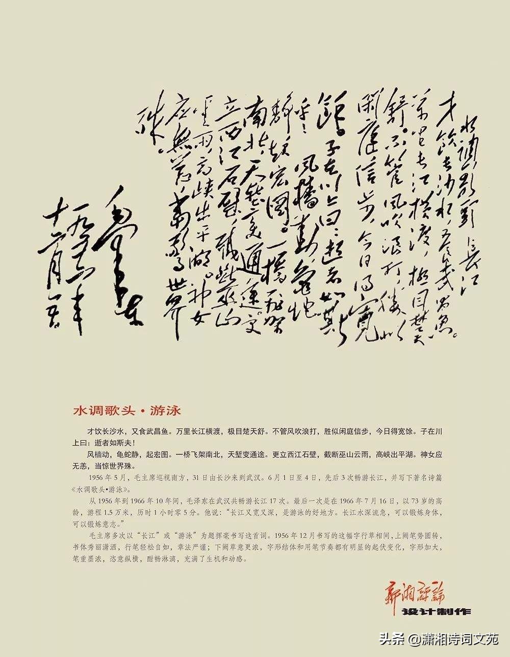 “神女应无恙，当惊世界殊”：再读《水调歌头·游泳》