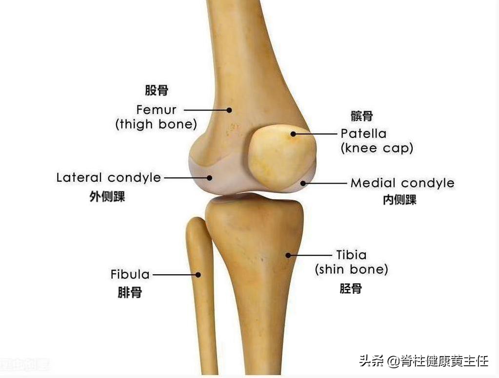 膝关节锻炼的正确方法,保护膝关节有哪些误区