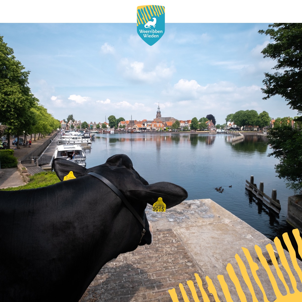 夏日童趣三年级,童趣夏日好时光