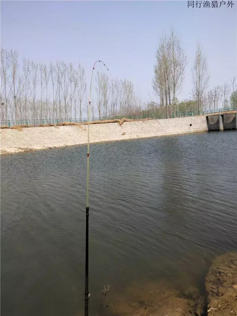 钓鱼笔记之小塘有惊喜全集,钓鱼小笔记