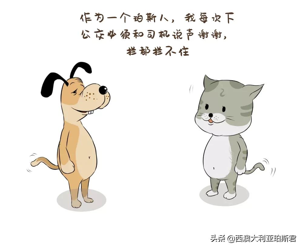 这个梗火爆全网？既然提到privilege，那就说说西澳人的高傲在哪