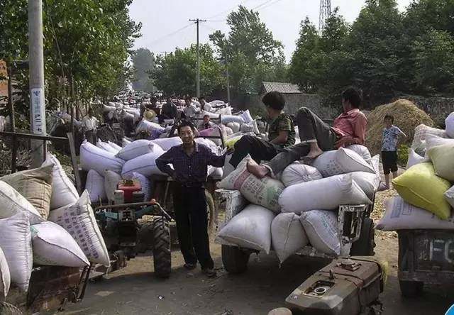 六七十年农民交公粮照片,老百姓上缴公粮场面