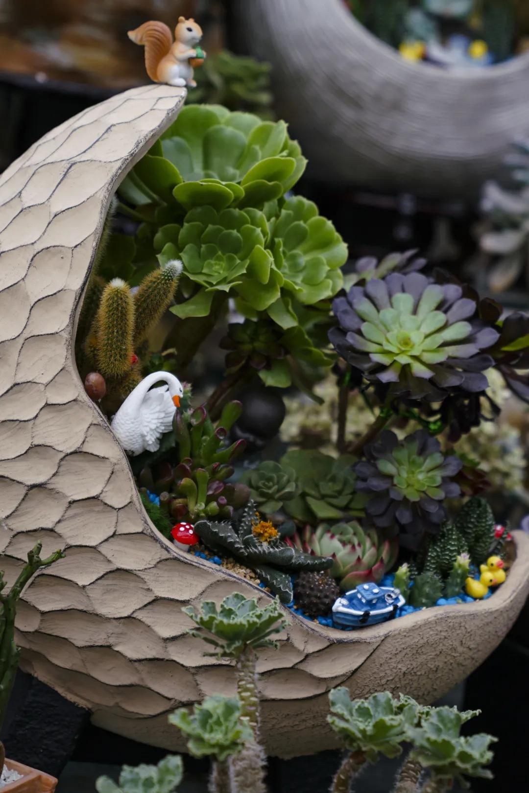 乌鲁木齐附近最便宜的花市,乌鲁木齐市花街在哪里