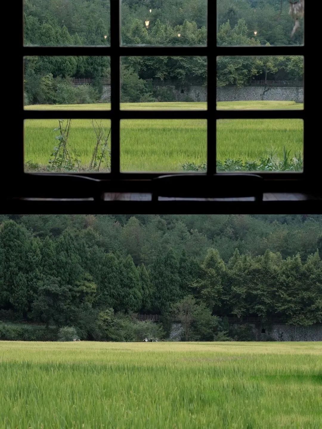 浙江特色美食小吃推荐,浙江美食口味特色