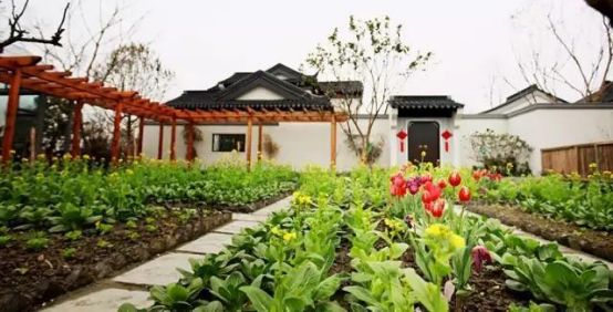 成都多利农庄,成都多利农庄采摘体验园怎么样