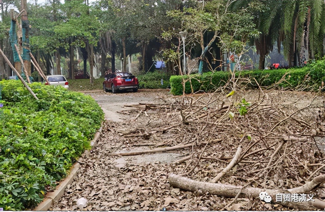 恒大美丽沙最新真实消息现状,恒大美丽沙降价了吗