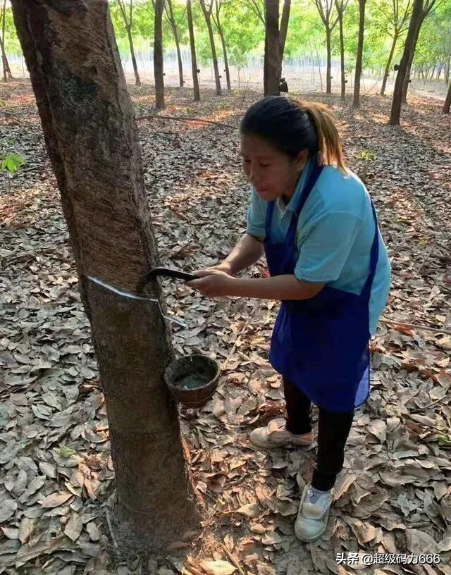 假乳胶枕致癌吗,睡假乳胶枕会头疼么