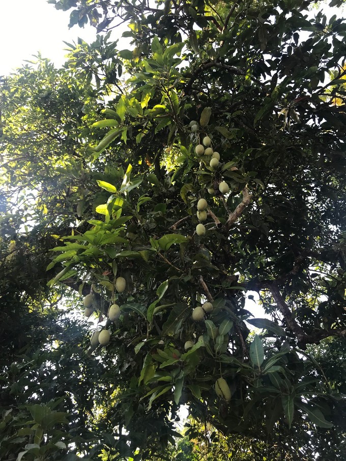 岛民旅游攻略,美娜多旅游详细攻略