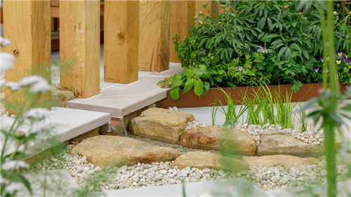 切尔西花展举办,2020年切尔西花展抢先看