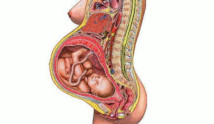 产后瘦肚子的软件有哪些,产后瘦肚子神器电动