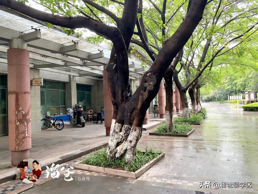 冯家湾村拆迁,神仙树冯家湾片区