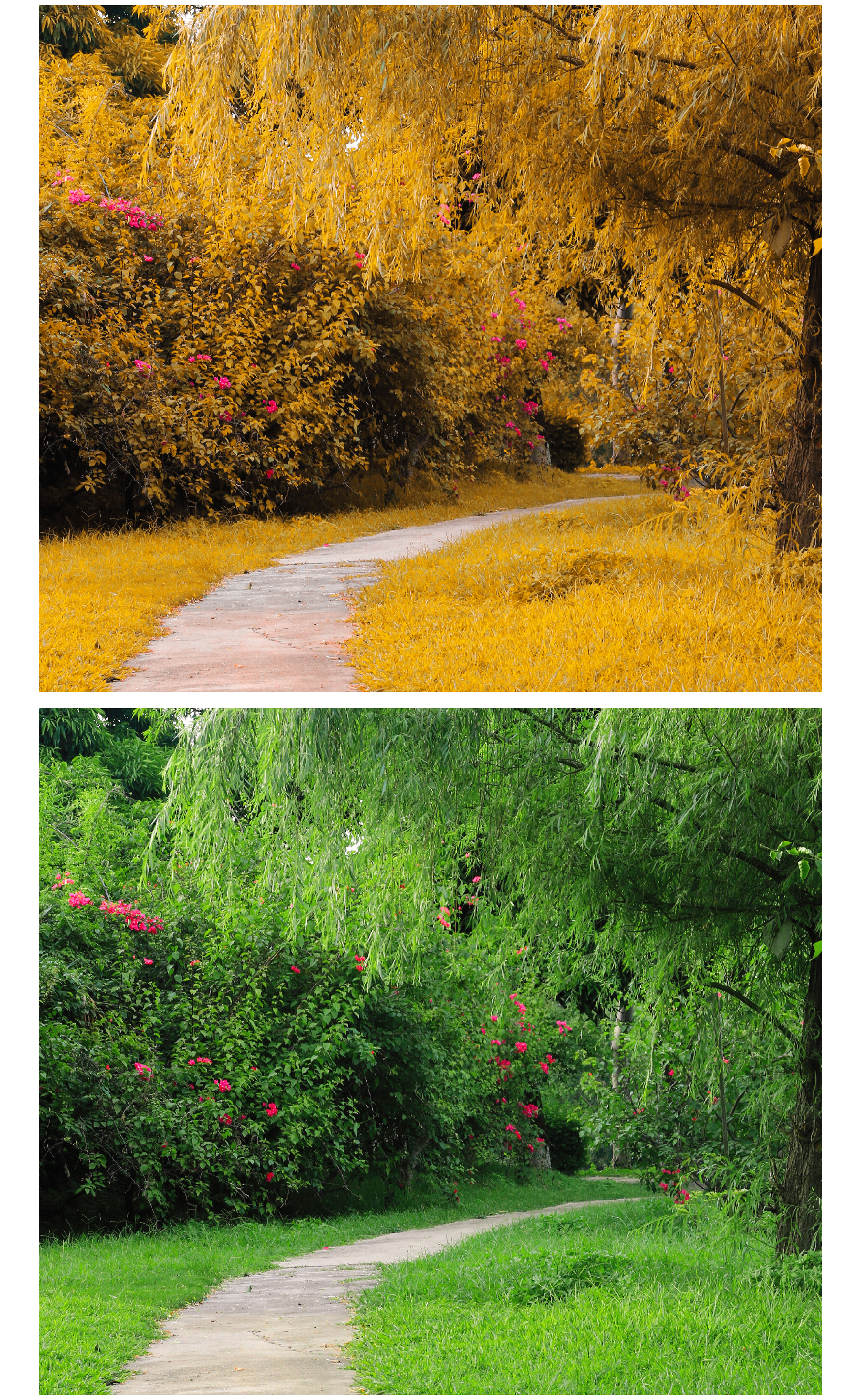 摄影调色教程ps调成高级黑白色调,ps逆光拍摄调色教程