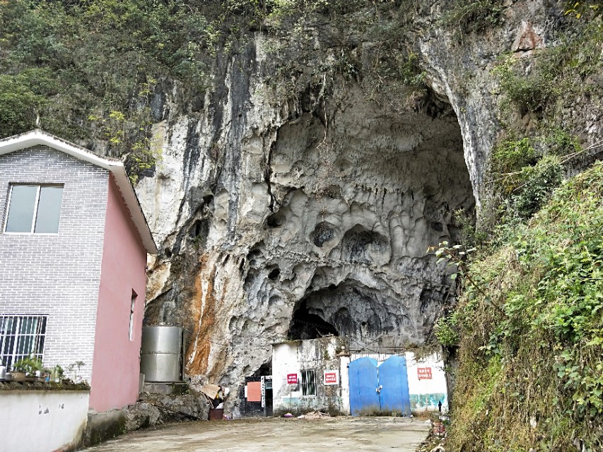 何氏始祖后裔,何氏得姓始祖