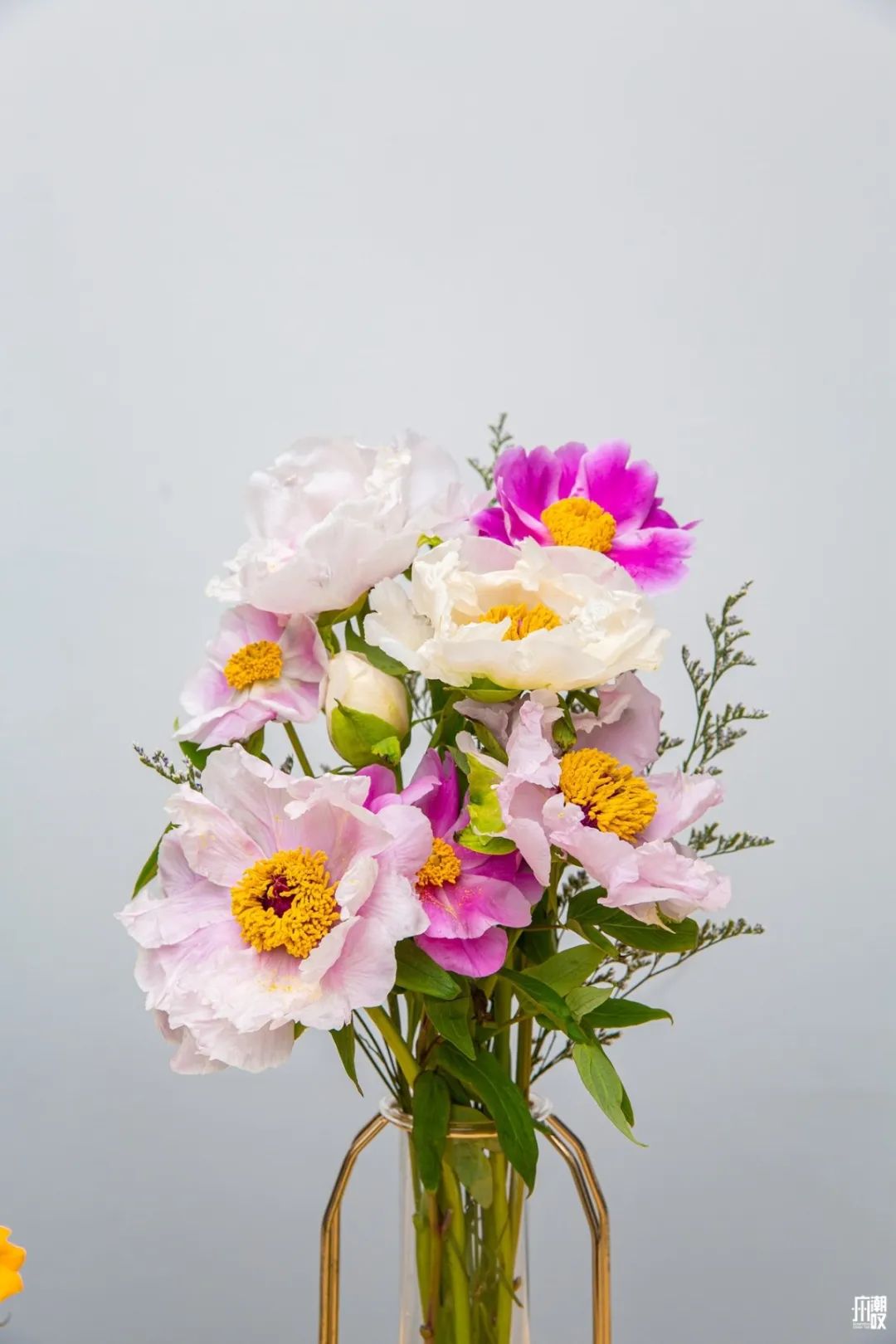 广州最便宜的花卉市场1块钱,广州岭南花卉市场买花攻略