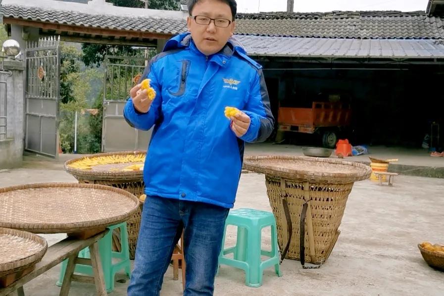 回农村创业成功的故事,在农村创业的创业经历简介