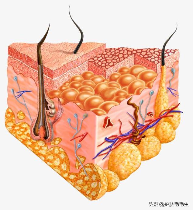 微晶祛斑骗局揭秘,微晶祛斑效果好不好