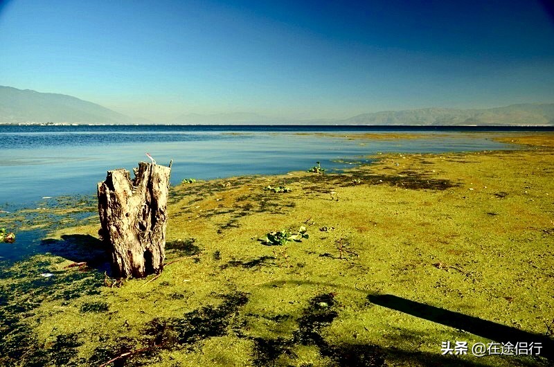 大理洱海恢复了吗,2019年洱海整治好了吗