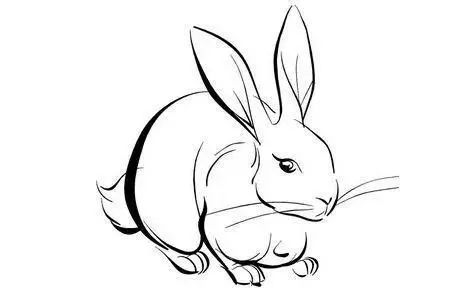 属马的适合戴什么生肖的手串,本命年戴什么生肖手串