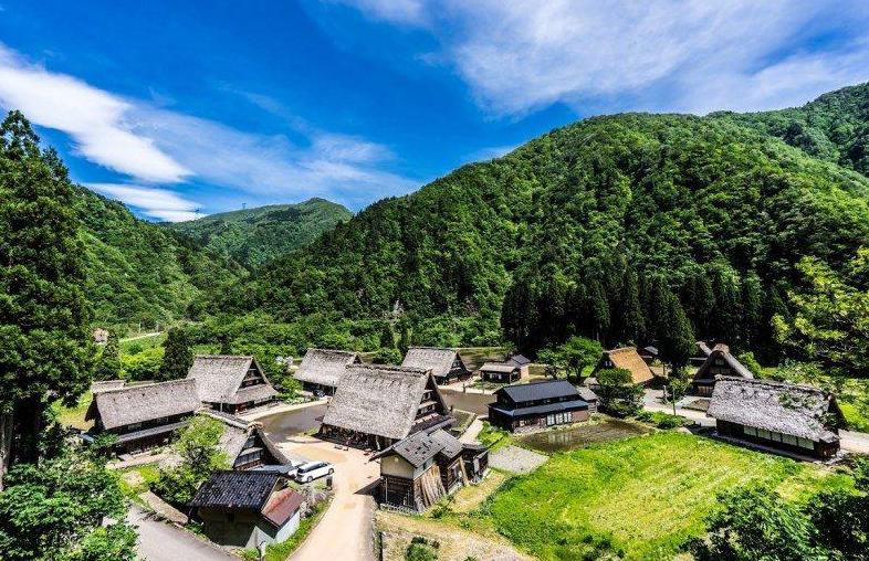 蔡澜说广东开平,蔡澜说深圳龙华