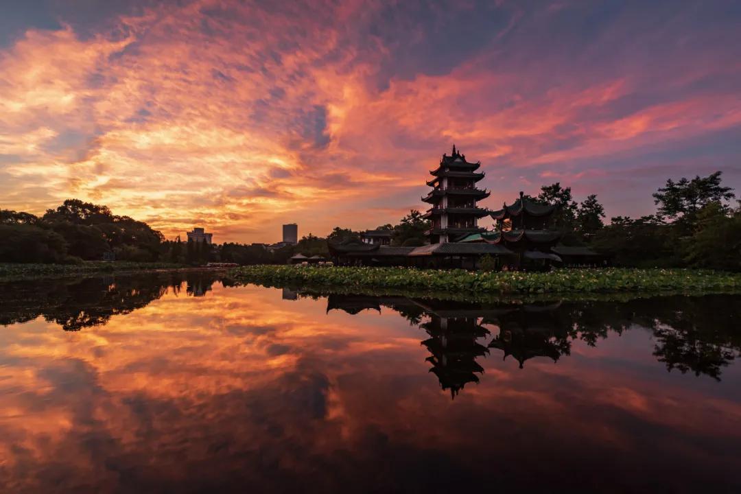 鏍戝眿鍚冪悆,鏍戝眿鐏攨