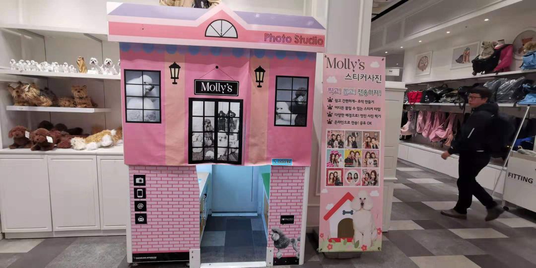 韩国宠物店推荐,韩国宠物店体验