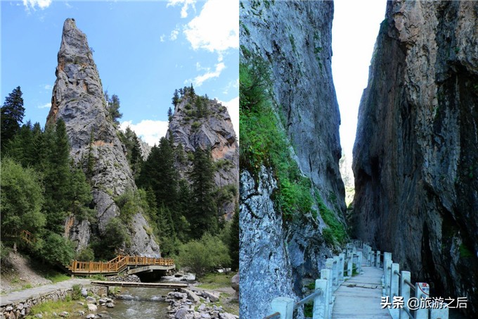 则岔石林风景区值得去吗,碌曲到则岔石林的路好走不