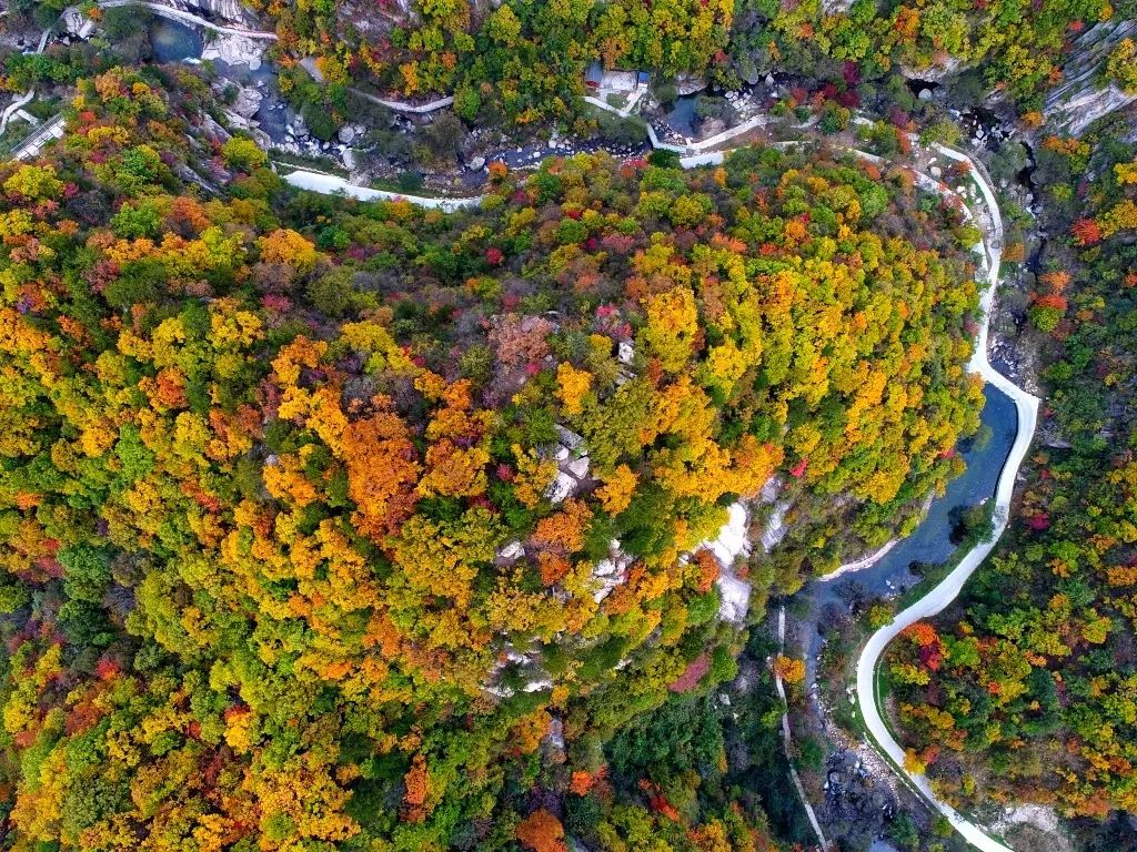 大饱眼福！数百辆重型机车即将汇集在洛阳这个地方