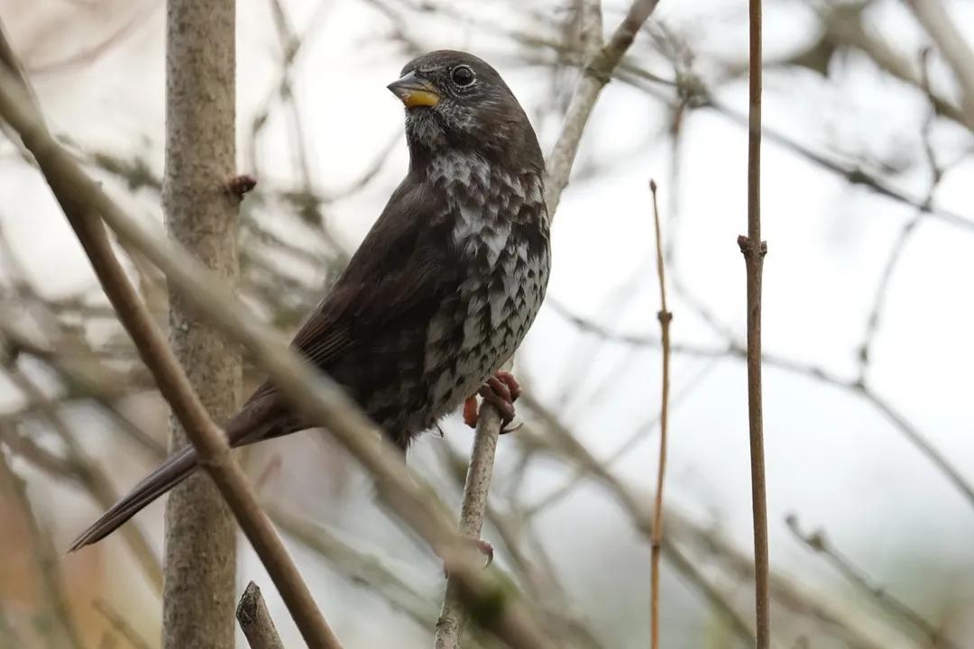 索尼xw1相机,索尼a6000相机视频拍摄方法