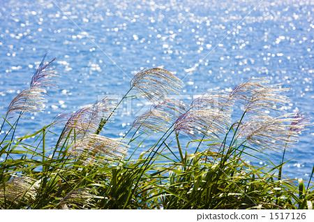 芒种的田园生活,芒种一年中最危险的日子