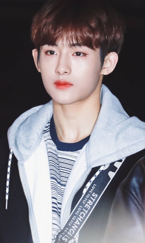 董思成韩国,董思成在韩时期