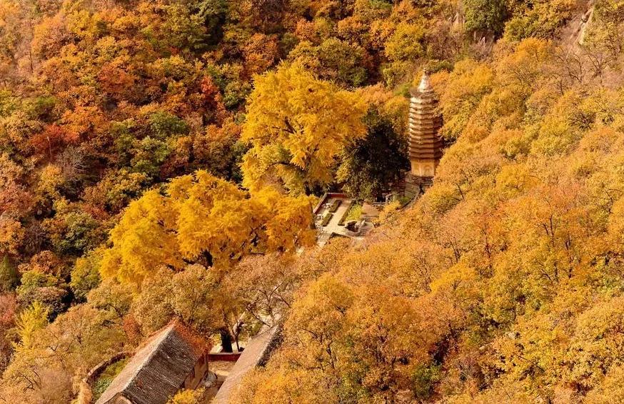 这就是天津完整视频,这就是天津南开