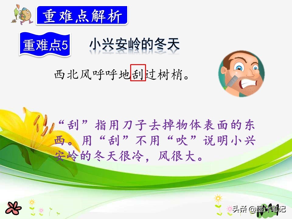 美丽的小兴安岭课文讲解人教版,三上语文美丽的小兴安岭课文讲解