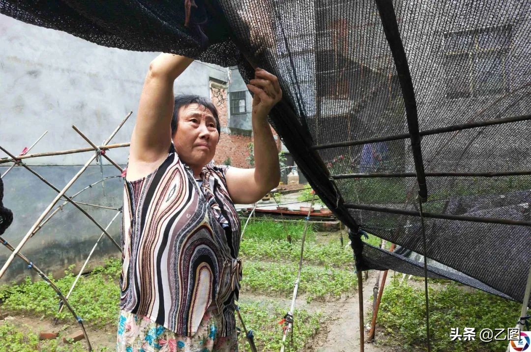 6岁女孩练舞蹈腿疼,女生说练舞蹈看医生怎么回复