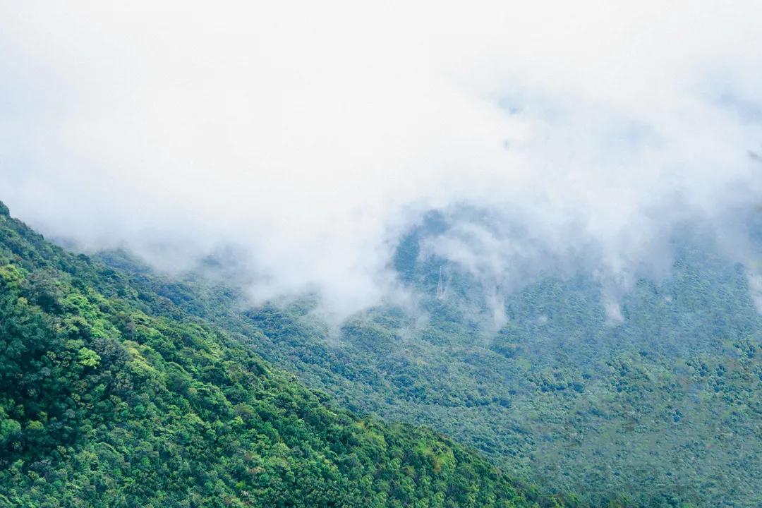 深圳值得打卡的建筑物,深圳最值得打卡的山