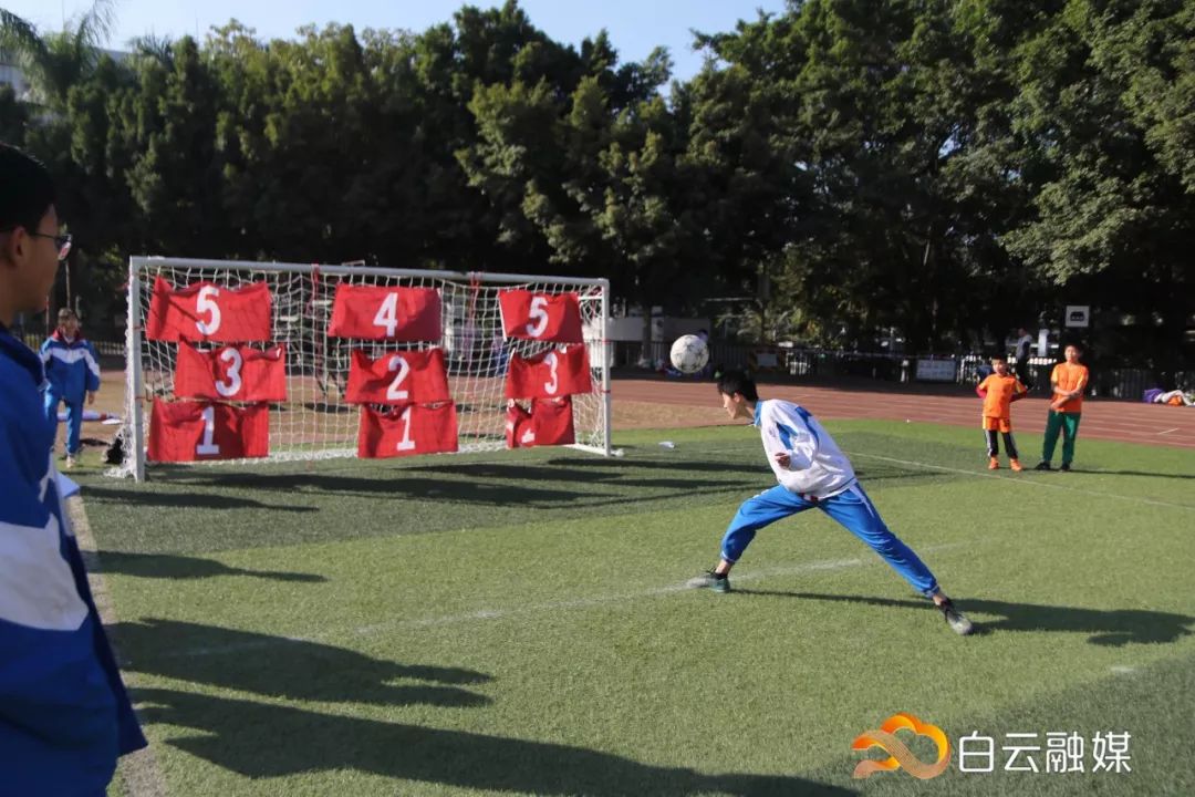 足球赛场展英姿视频,绿茵场上展英姿