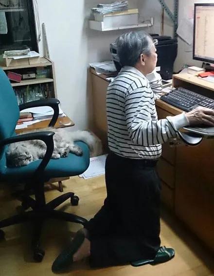 卑微的两脚兽，欢迎来到喵星人的世界