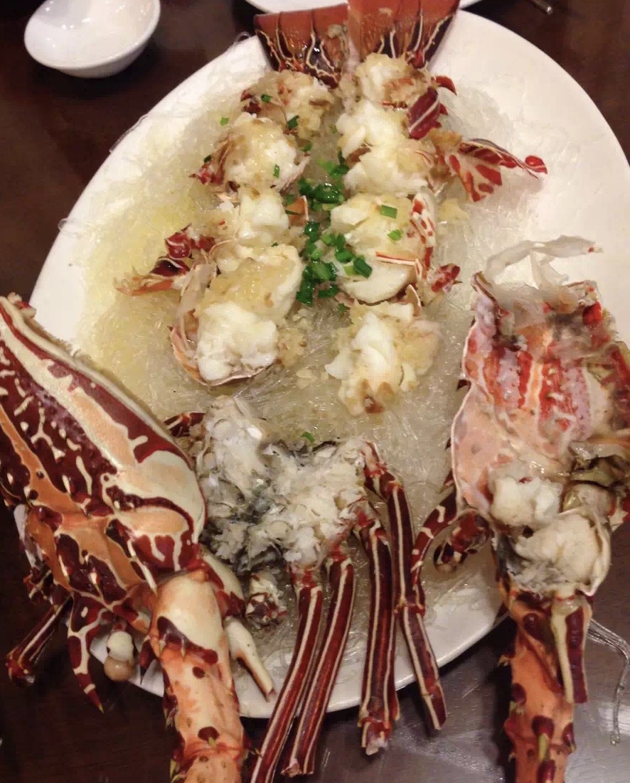 帕劳太平洋水族箱,潜水胜地帕劳水族箱