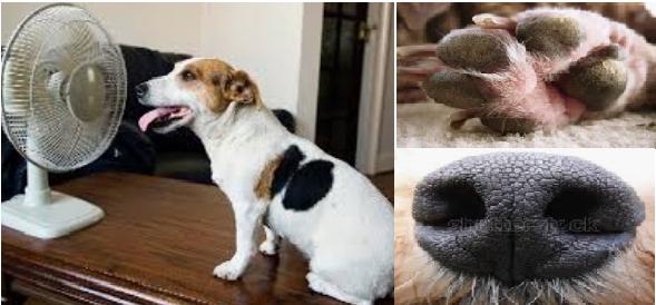 男人味到底是什么意思,男人味的十大特征