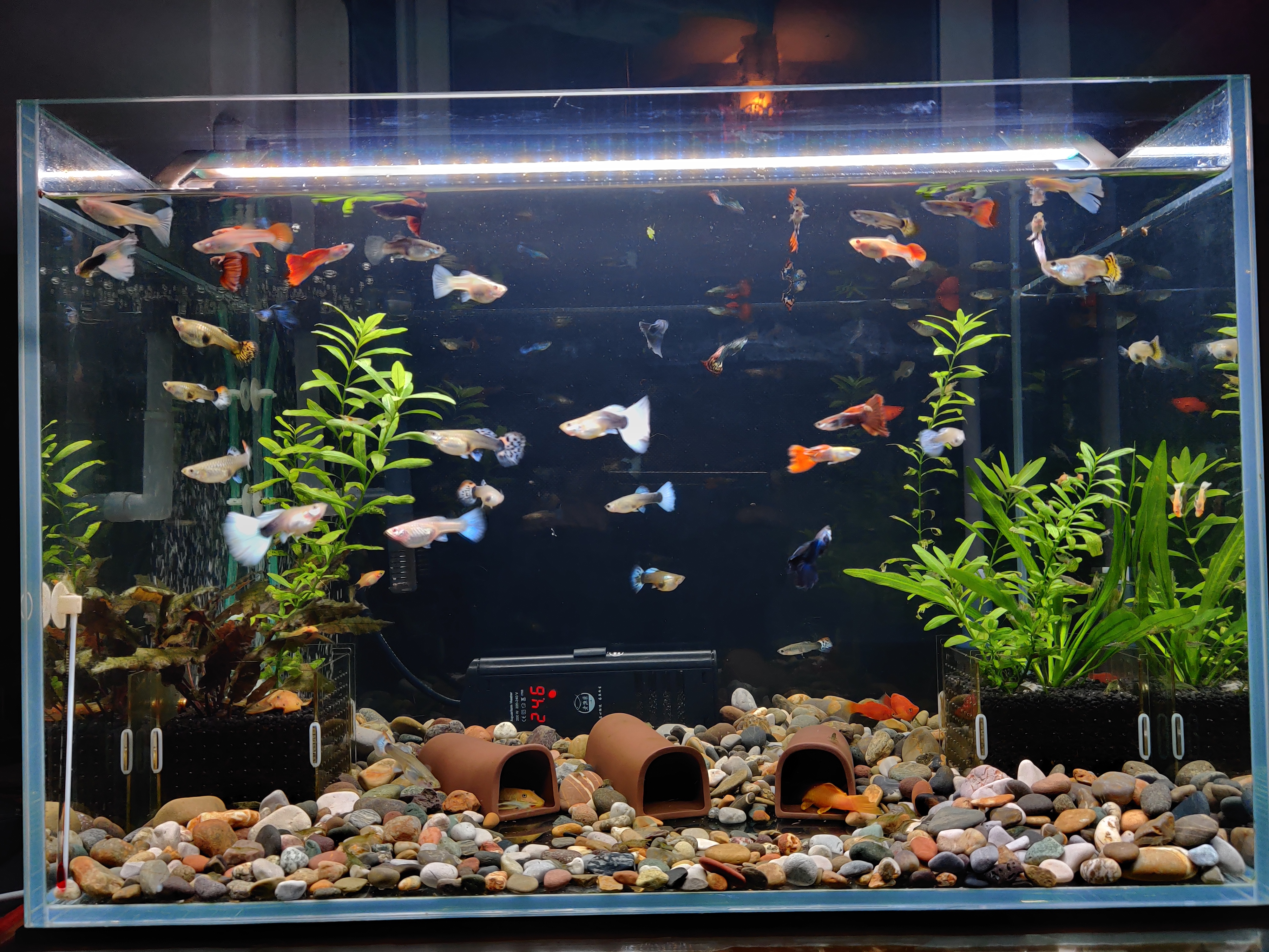 预算只有200元可以买一套路亚吗,预算只有200不在网上买能买什么