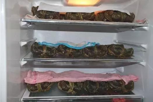 活的大闸蟹放冰块能保存几天,大闸蟹是蒸熟保存还是生的保存好