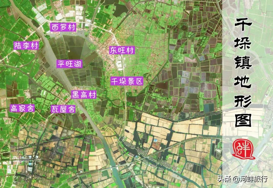 江苏省兴化市垛田,兴化市到千垛油菜花景区怎么走