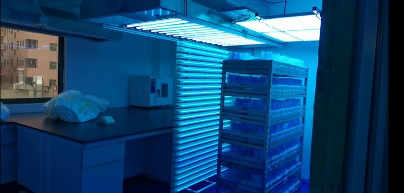 突然，我们的生活离不开口罩了