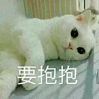 猫咪猫闹该怎么办？现在还有人相信棉签*法大**？