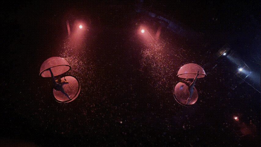 广州长隆野生动物园游玩攻略最新,长隆野生动物园亲子游三天