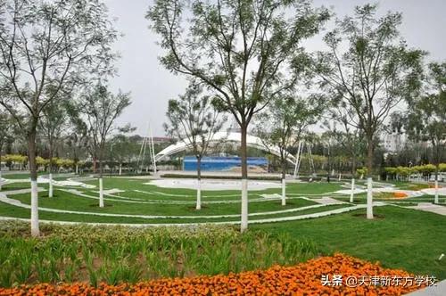 天津好消息今天,天津所有的免费景点博物馆