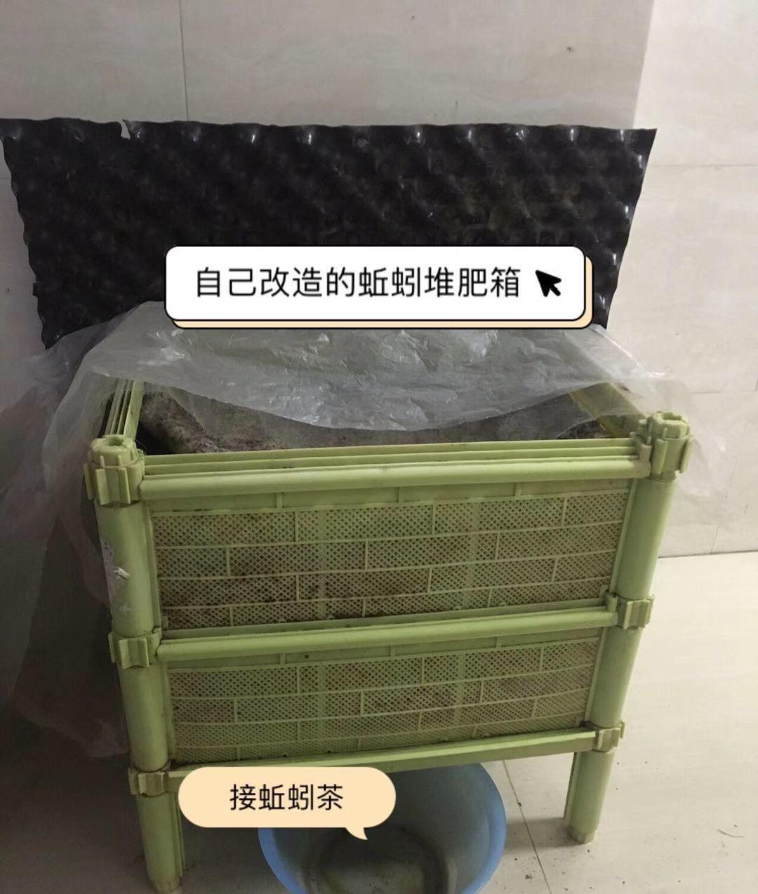 蚯蚓可以帮助堆肥吗,堆肥蚯蚓太多怎么办