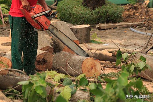 节材代木，易鼎行钢木龙骨综合优势“一枝独秀”