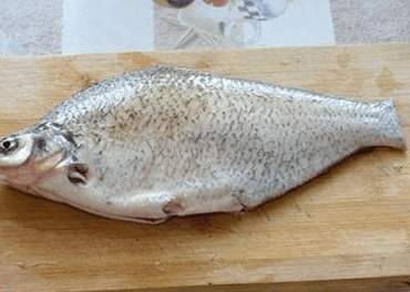 鱼怎么会吃出柴油味,自己家做熟的鱼有鱼腥味怎么办