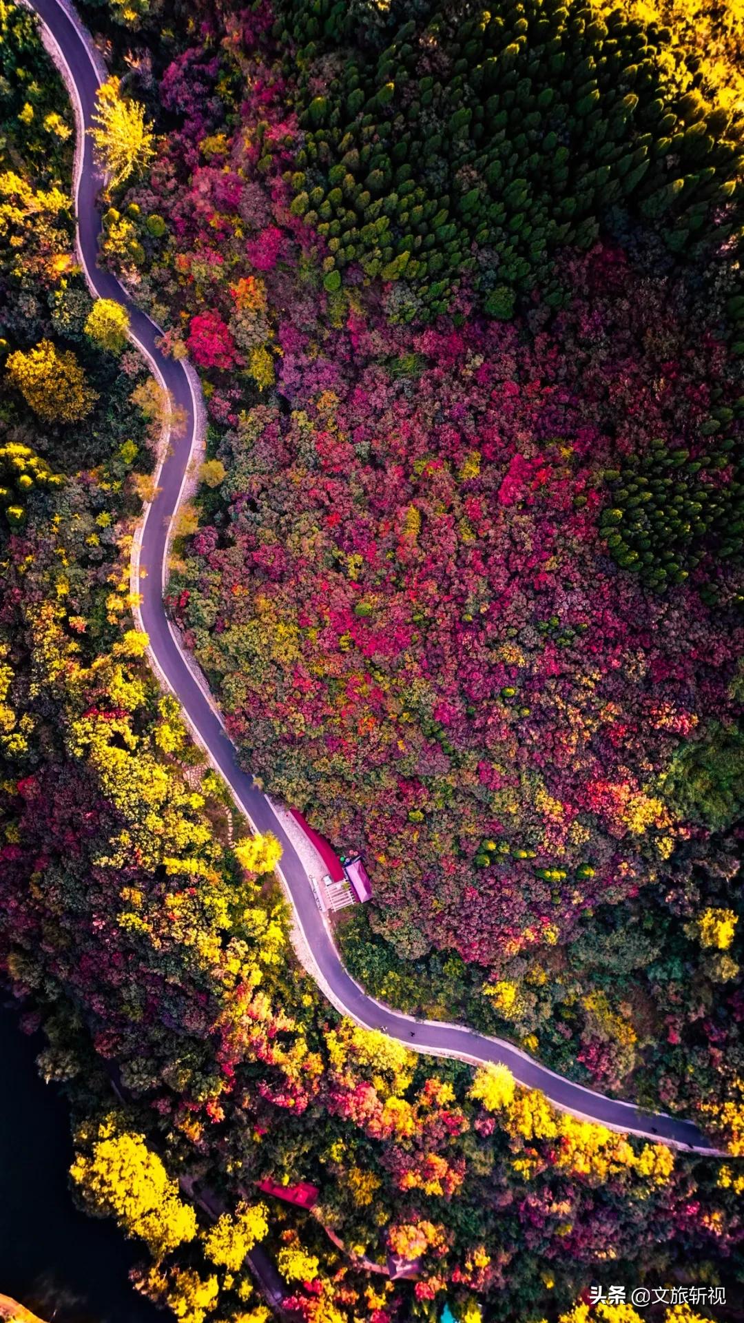 走过南闯过北还是老家最美,走过祖国大江南北还是河南最美